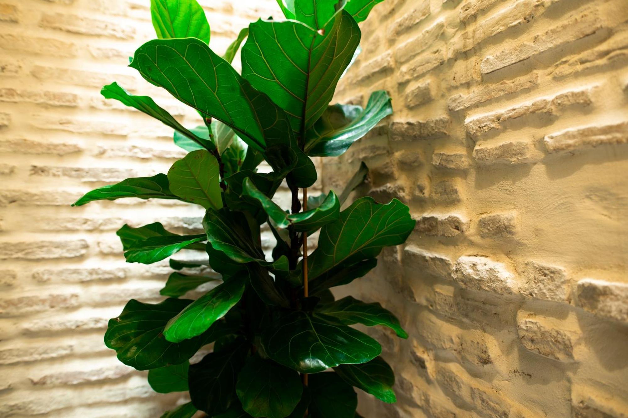 Legado Magdalena Hotel Séville Extérieur photo